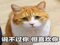 上海舜娟企业管理有限公司
