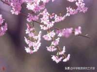 上海舜娟企业管理有限公司
