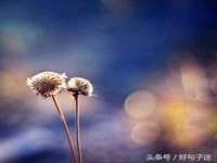 上海舜娟企业管理有限公司