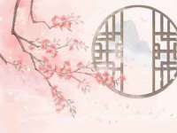 上海舜娟企业管理有限公司