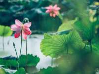上海舜娟企业管理有限公司