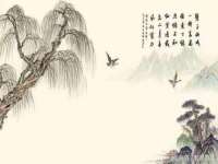 上海舜娟企业管理有限公司