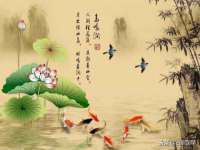 上海舜娟企业管理有限公司