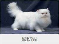 上海舜娟企业管理有限公司