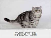 上海舜娟企业管理有限公司