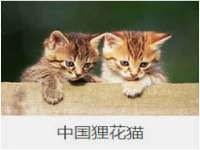 上海舜娟企业管理有限公司