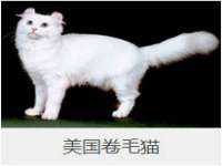 上海舜娟企业管理有限公司