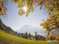 上海舜娟企业管理有限公司