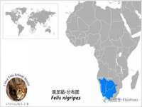 上海舜娟企业管理有限公司