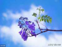 上海舜娟企业管理有限公司