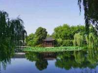 上海舜娟企业管理有限公司