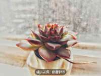 上海舜娟企业管理有限公司