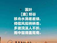 上海舜娟企业管理有限公司