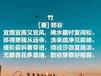 上海舜娟企业管理有限公司