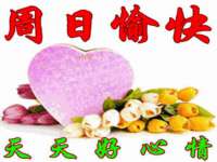 上海舜娟企业管理有限公司