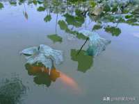 上海舜娟企业管理有限公司