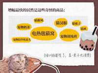 上海舜娟企业管理有限公司