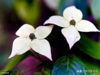 上海舜娟企业管理有限公司