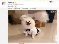 上海舜娟企业管理有限公司