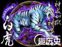上海舜娟企业管理有限公司