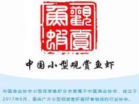 上海舜娟企业管理有限公司