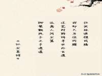上海舜娟企业管理有限公司