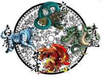 上海舜娟企业管理有限公司