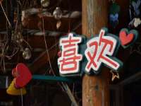 上海舜娟企业管理有限公司