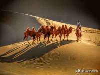 上海舜娟企业管理有限公司