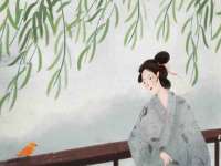 上海舜娟企业管理有限公司