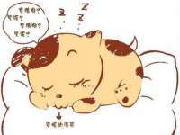 上海舜娟企业管理有限公司