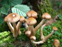 上海舜娟企业管理有限公司