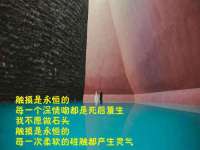 上海舜娟企业管理有限公司