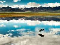 上海舜娟企业管理有限公司