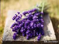 上海舜娟企业管理有限公司