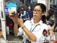 上海舜娟企业管理有限公司