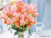 上海舜娟企业管理有限公司