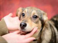 上海舜娟企业管理有限公司