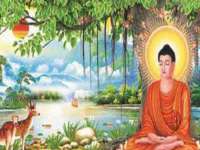 上海舜娟企业管理有限公司